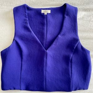 Aritzia Wilfred Crop Top